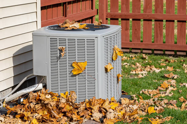 Best HVAC Maintenance Near Me  in Marine City, MI